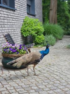 Hey Spreewald Ferienapartments