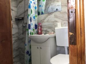 Apartament cu 1 camere la etaj 2 si masarda o camera de 9mp in vila pozitie centrala pe strada Randunelelor nr 2 cu parcarestradalaala centrala