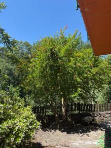 Casa Bellavista