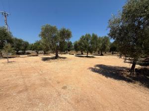 Agricampeggio Dei Nobili