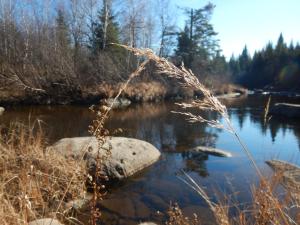 Aux Tipis de la Rivière Sauvage