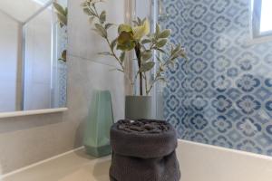#381 Sunny Apartment in the Heart of Albufeira