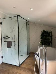 Greenery Luxury Apartment