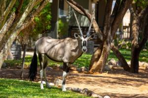 Gondwana Namib Desert Lodge