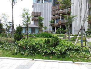 The Ruby Ha Long - Bay Melody Studio