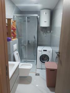 Apartment Miki