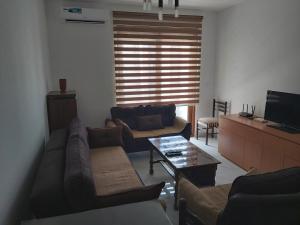 Apartment Miki