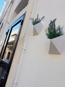 Valcova Home, your luxury escape in Ostuni
