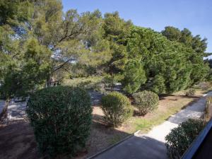Apartment Les Iles Du Soleil-2 by Interhome