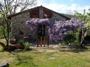 Holiday Home La Capanna by Interhome