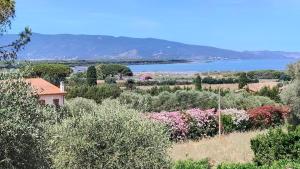 Villa Matilda ad Ansedonia