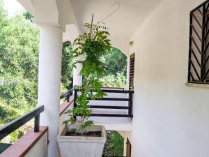 Apartment Appartement in Pisciotta mit Grill by Interhome