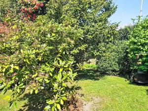 Apartment Casa Giardino a 50 mt dal lago by Interhome