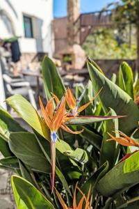Holiday Home Finca Luz de Palmera by Interhome