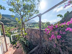 Holiday Home Finca Luz de Palmera by Interhome