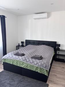 Nancy apartment