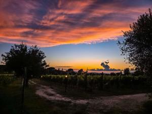 Agriturismo La Pievuccia