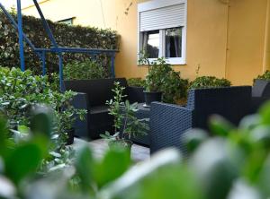 Apartment Dario