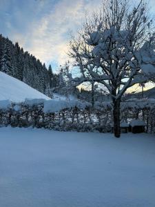 Appartement Familial Vue Montagne & Jardin Privé