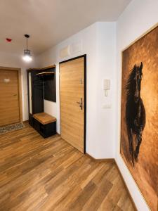 Dolce Vita Azur Apartmens