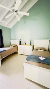 Welcome to Serenity Oasis Villa