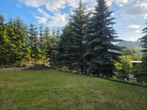 Apartamenty u Bodzia 3