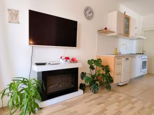 Apartments Pine