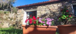 Smeralda Pic House img17