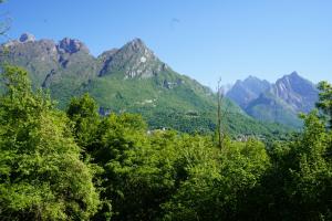 Locazione Turistica Rosolin di Trimenhouse