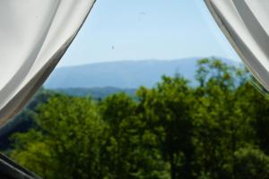 Locazione Turistica Rosolin di Trimenhouse