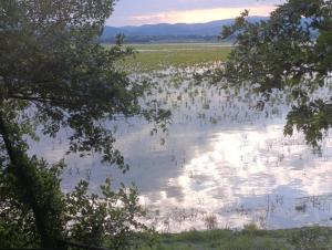 Vikendica, Knic, Turski bunari