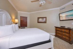 Phoenix IX 903 condo