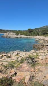 Zefiro Apartment Alghero-Fertilia