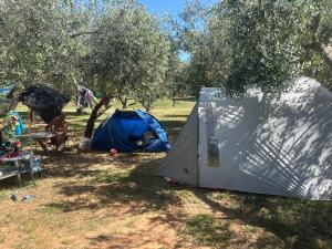 Camping Volme Tent