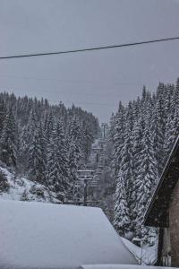 Zlatar duplex