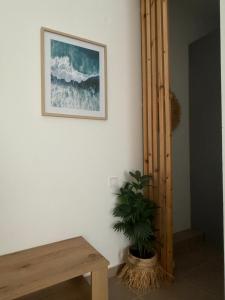 Angelos Studios