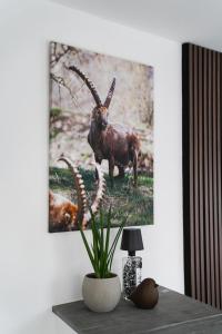 Ferienwohnung in Graubünden bei Hauskreativ