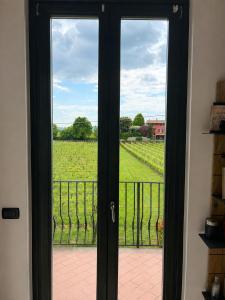 Franciacorta Vineyard View - Iseo Lake