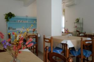 Hotel Canoa