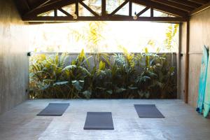 KOKUA Surfskate House