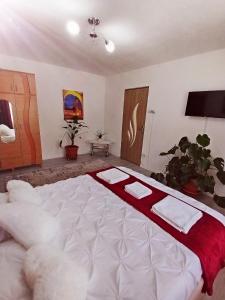 Nicoleta Apartment