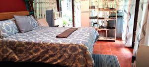Robins Thatch Studio- bush camp in the suburbs-sleeps 2