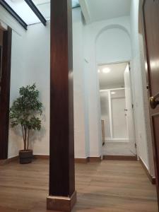 NT new apartment in downtown Malaga