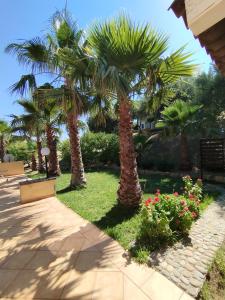 Casa delle palme