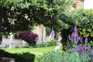 14 Pulteney Gardens, Bath, BA2 4HG, England.