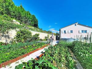 Studio Palma-2 by Interhome