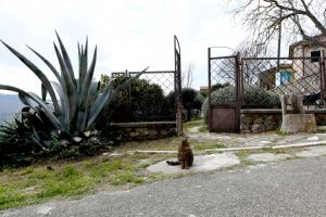 Rustic House with Small Private Garden - Vallerona