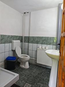 14 Scaune Casoca Tudose