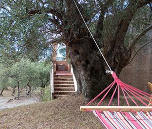 Villaggio rurale San Martino