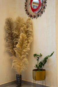 Auster House Santorini